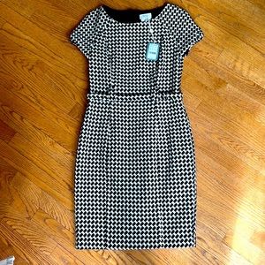 HOSS Intropia classic dress, size 38-US 6 - NWT